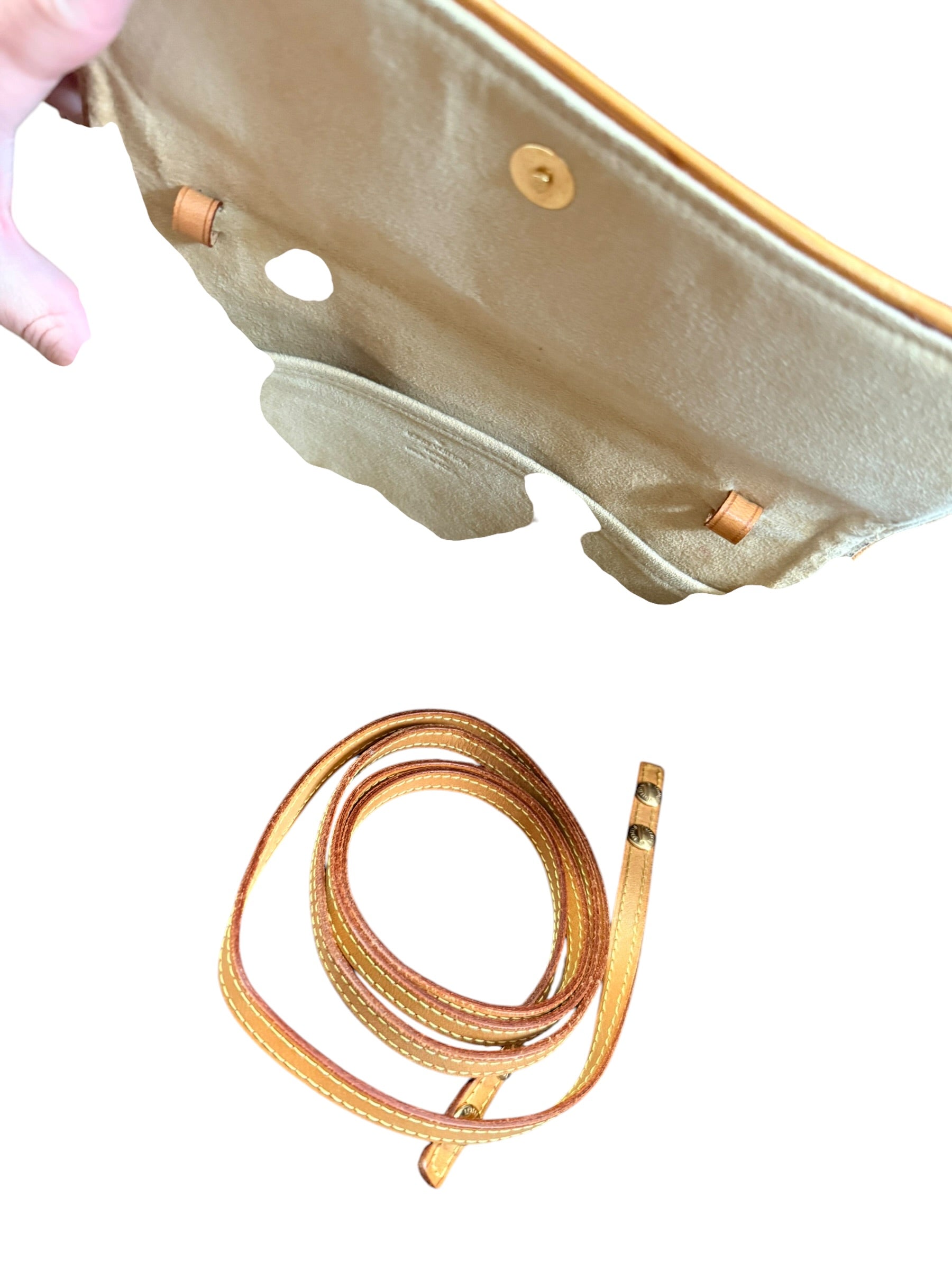 Louis Vuitton Twin GM Pochette